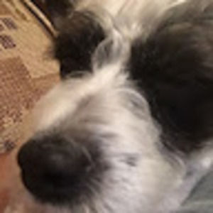 Meet your Posher, Adrian